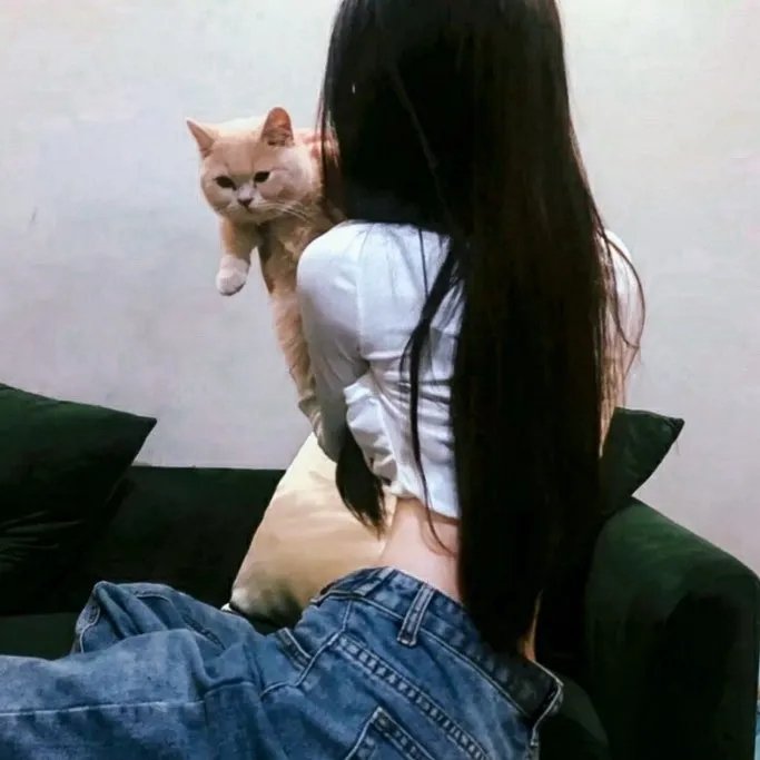 独占接班人